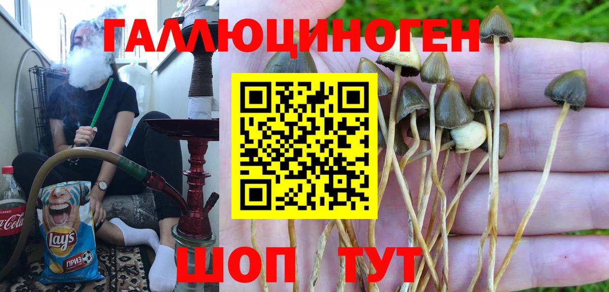 Кулебаки  Галлюциногенные грибы мухоморы  Вход с VPN 