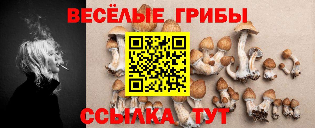 Псилоцибиновые грибы ЛСД Кулебаки