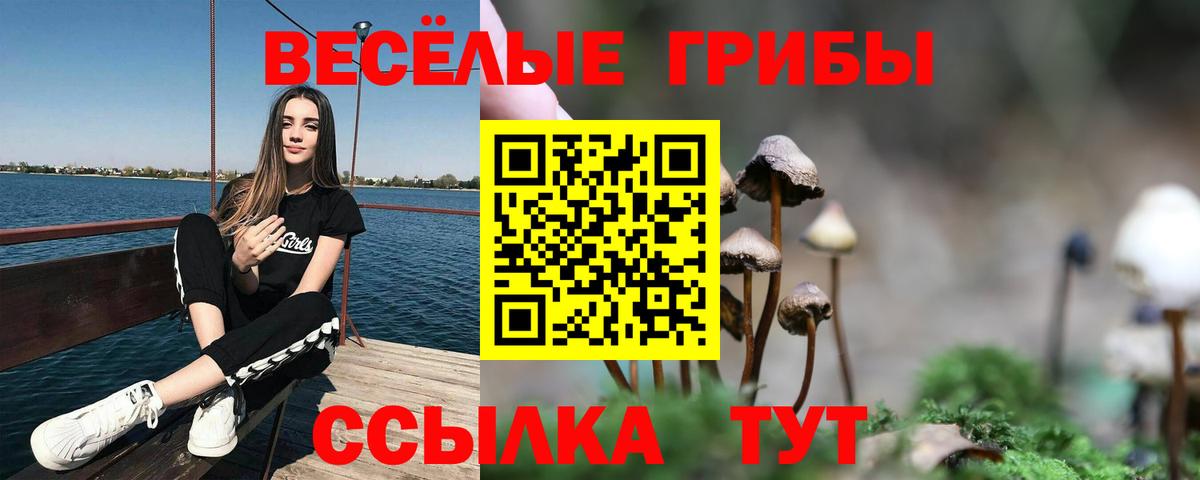 Галлюциногенные грибы ЛСД  Кулебаки  Галлюциногенные грибы Cubensis 